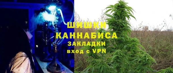 круглые Алзамай
