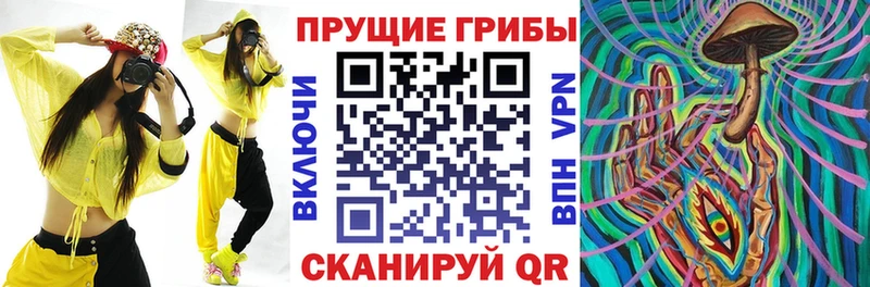 Псилоцибиновые грибы мицелий  Балахна 